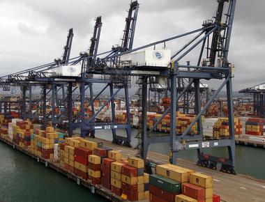 Navigating the Crosscurrents AI Frenzy, Market Resilience, and My Top Picks for 2026